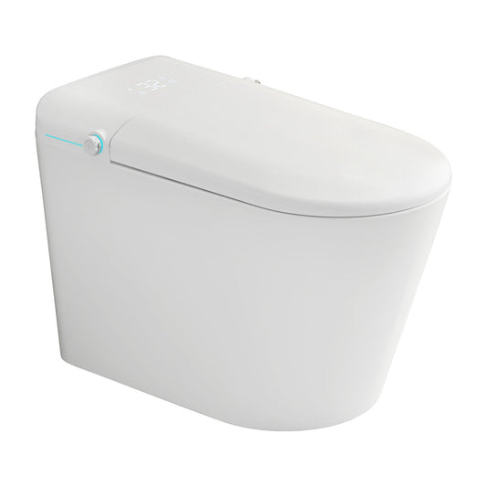 REGIO TOSTU5704045 SMART TOILET