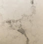 600x600 Porcelain Tiles - Gloss Calacatta