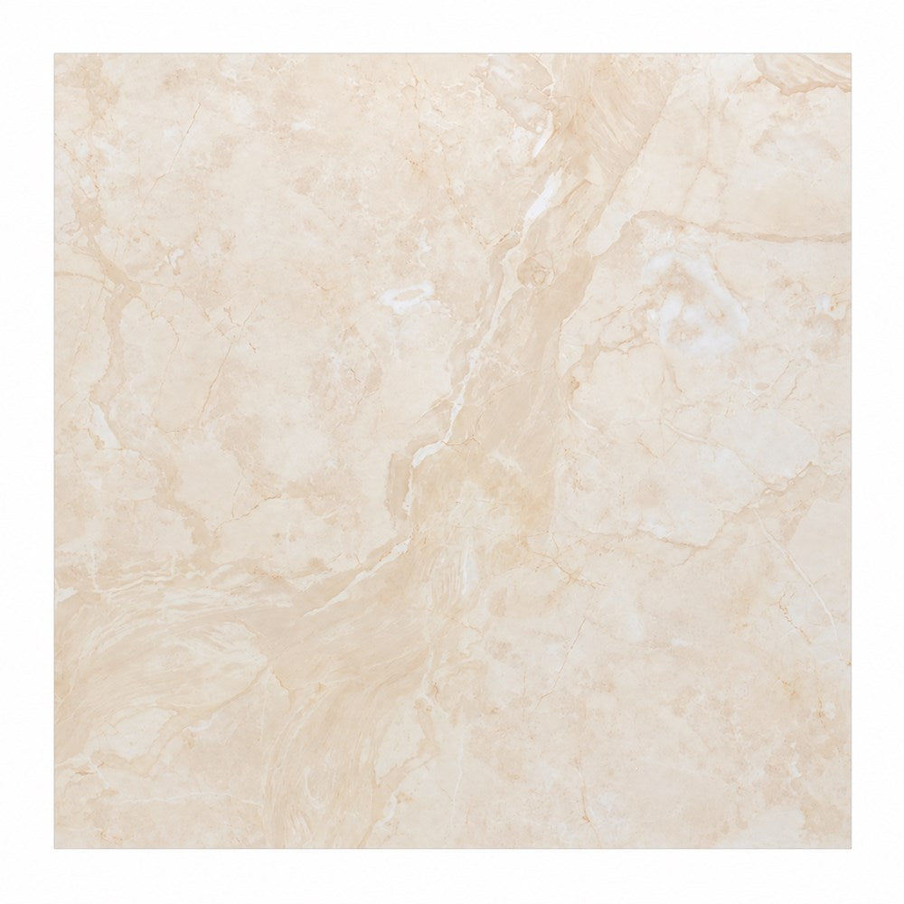 Porcelain Tile 800 by 800
