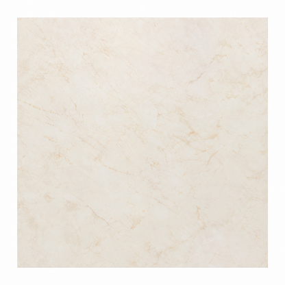 Porcelain Tile 800 by 800