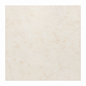 Porcelain Tile 800 by 800