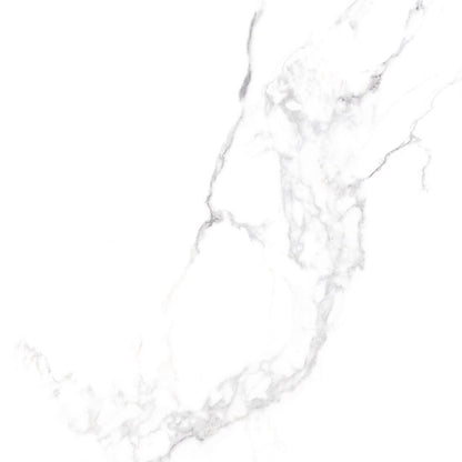 800 X 800 Porcelain Tiles - Gloss Calacatta
