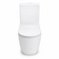 690*370*830mm Bathroom Rimless Back To Wall White Ceramic Toilet Suite