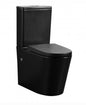 Matt Black Wall Faced Rimless Toilet Suite