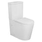 Rimless Back to Wall Toilet Suite - 022 - 104N-TPT