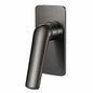 Regio Selene Series Wall Mixer