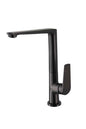EXON Sink Mixer in Gun Metal