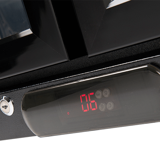 EA900WFBL – 208L Double Glass Doors Black Beverage Cooler