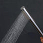 Round Chrome Single Function Handheld Shower (Brass)