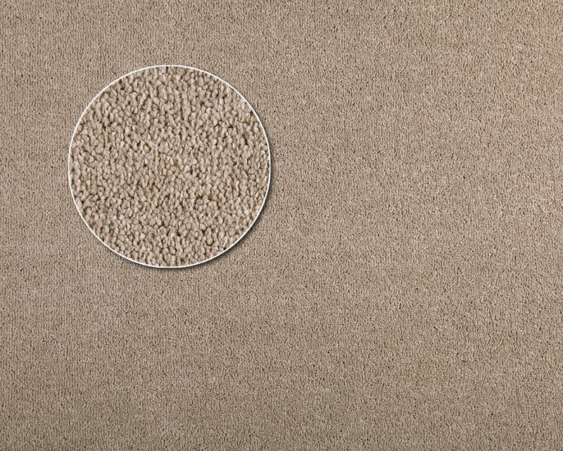 APARTMENT MODEL CARPETS