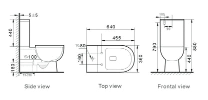 T6016 — Back to Wall RIMLESS Toilet Suite