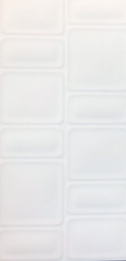 TC36-FR6300 White Gloss 300X600 Ceramic Tile