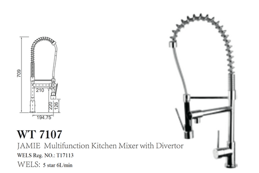JAMIE MULTIFUNCTION KITCHEN MIXER WITH DIVERTOR